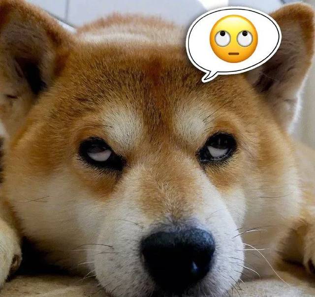 1534412389435347.jpeg 34457d6786fb4c50a93e93994e53c230.jpeg