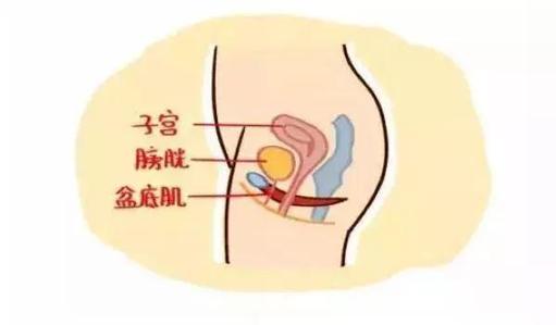 子宫底高度:如果子宫复旧良好,产后当日脐平或脐下1～2横指可以触摸