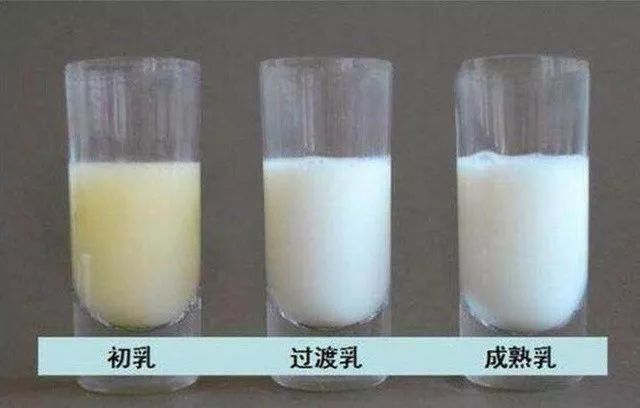 月子餐一.jpg