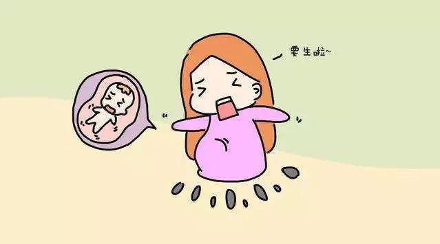 1665299804410308.jpg 月子餐一.jpg