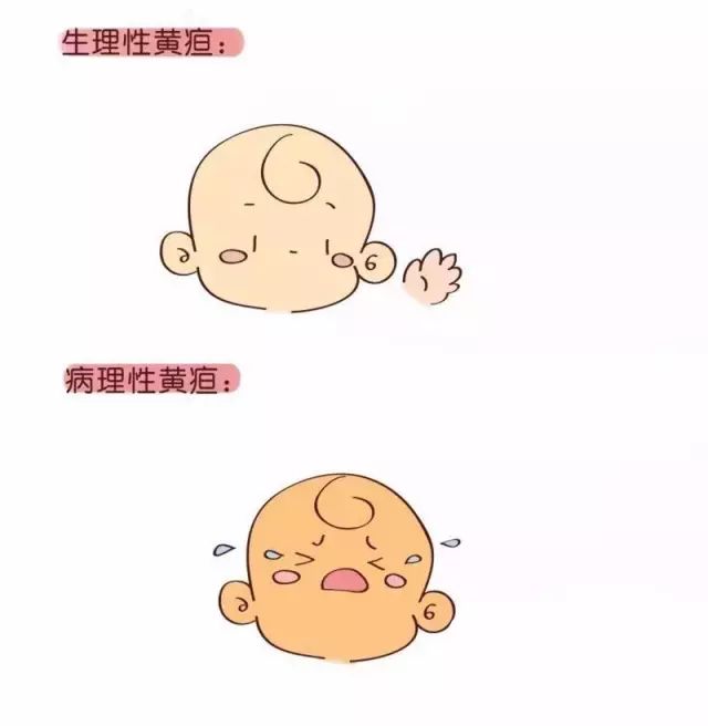 1666314754235727.jpg 月子餐一.jpg