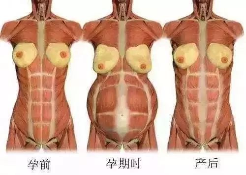 1667783636383292.jpg 月子餐一.jpg