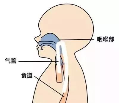 月子餐一.jpg