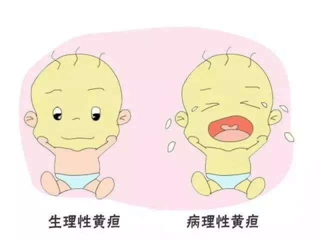 月子餐一.jpg