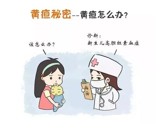 月子餐一.jpg